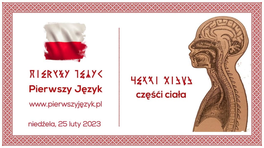 Miniatura nagrania: 🇵🇱 Rozmowy o Języku - Częśći Ciała
